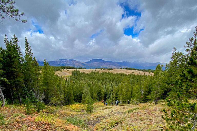 Looking down a valley of the Badger-Two Medicine