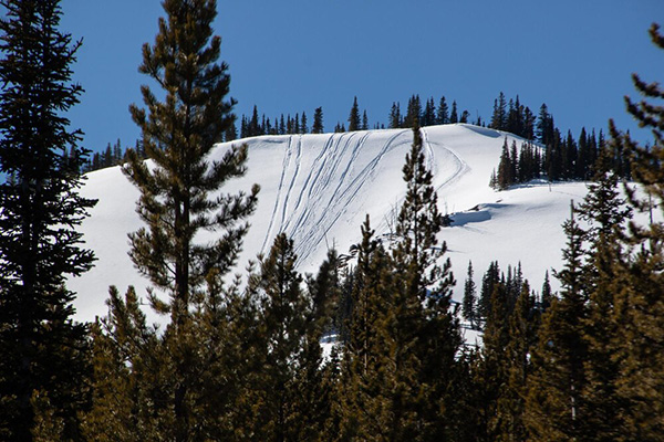 Snowmobile tracks on a snowy hillside