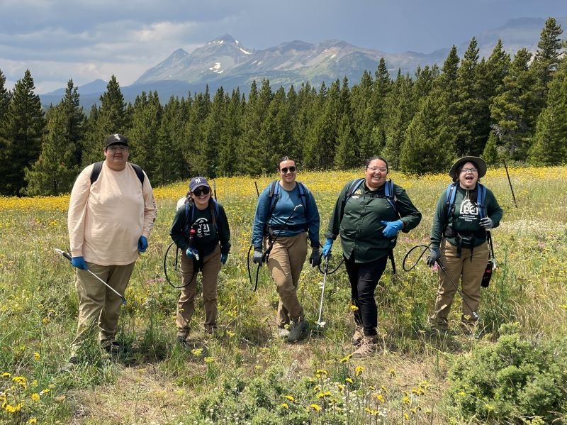 Piikani Lands Crew volunteering to spray invasive plant species