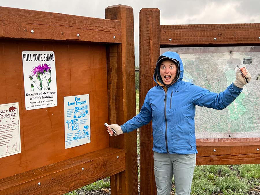 Volunteer hangs a trailhead sign about invasive plants