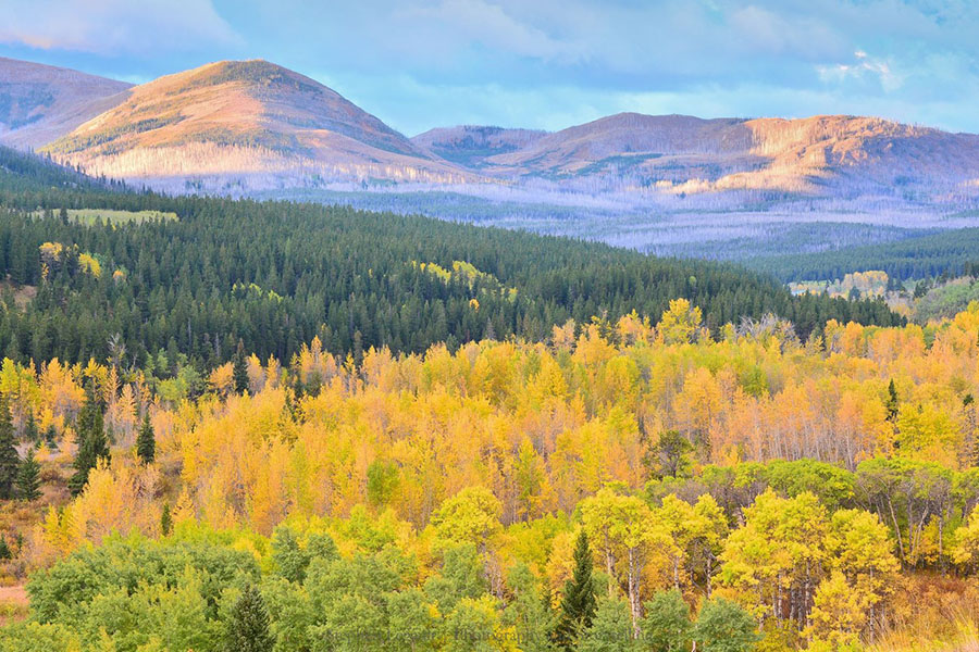 Fall colors in the foreground, mountains in the background