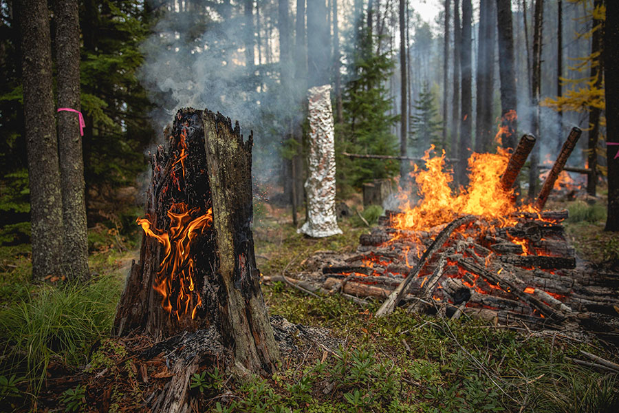 Fire crews burn slash piles around the Apgar Visitor Center to reduce the fuels that could otherwise contribute to wildfires in this populated area.