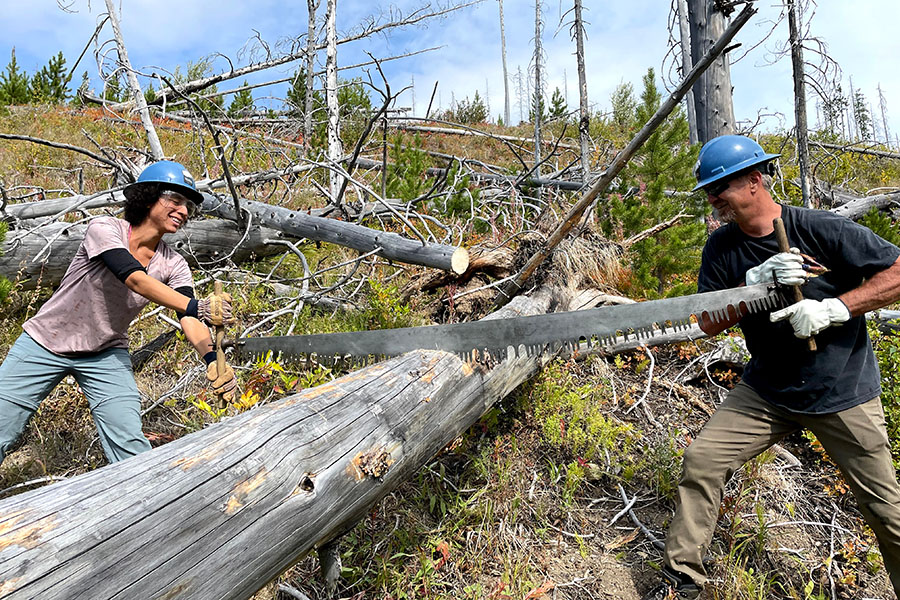 Volunteers clear a downed tree with a manual two-person saw
