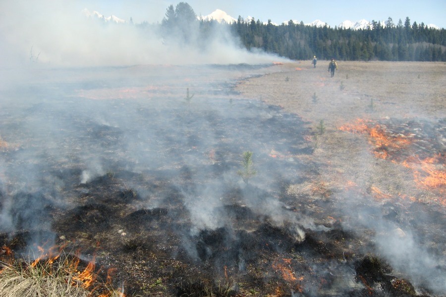 Prescribed Fire_Glacier NPS(1)