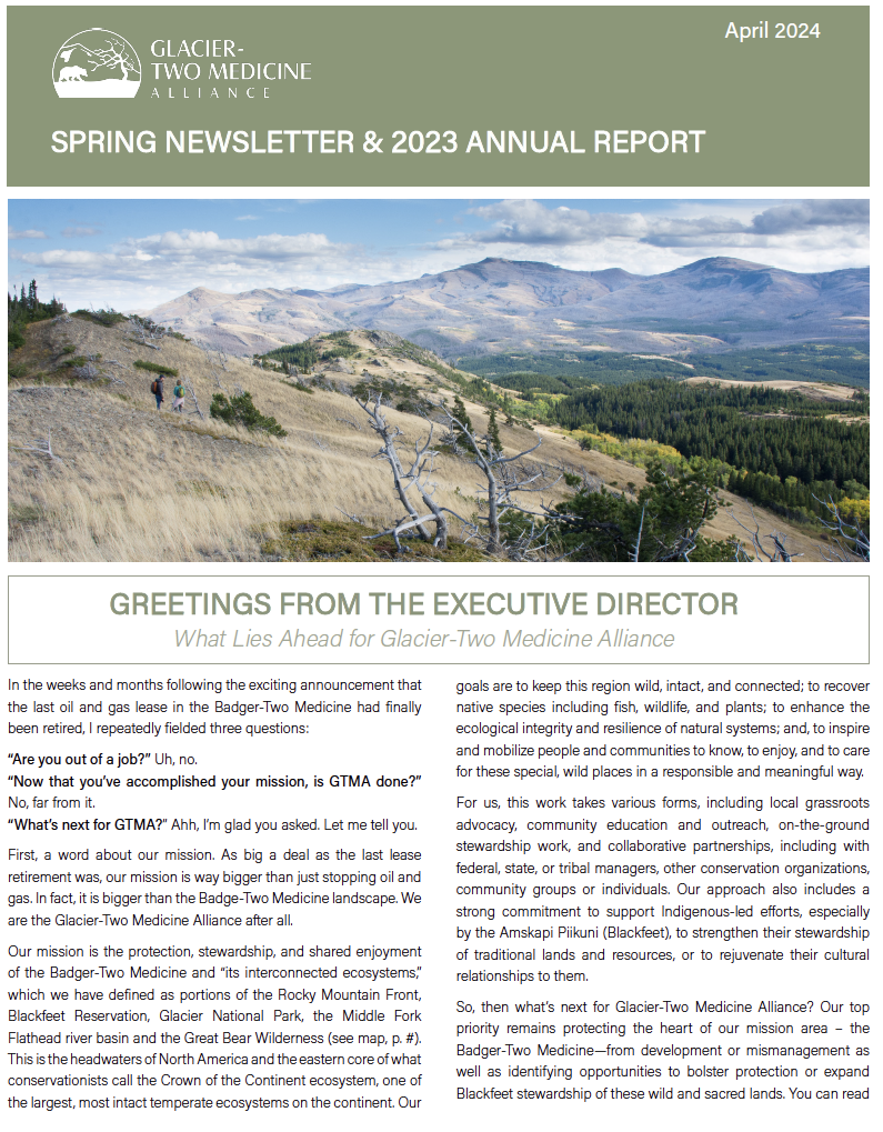 spring-newsletter-annual-report-2024