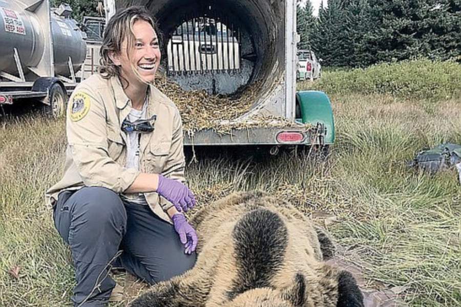 North Valley bear manager ready to hit the woods neighborhoods Whitefish Pilot