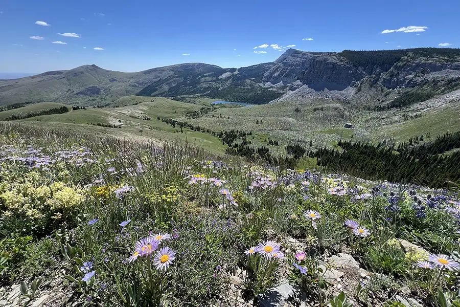 Rescission of the Roadless Rule threatens the beautiful and wild Badger-Two Medicine landscape